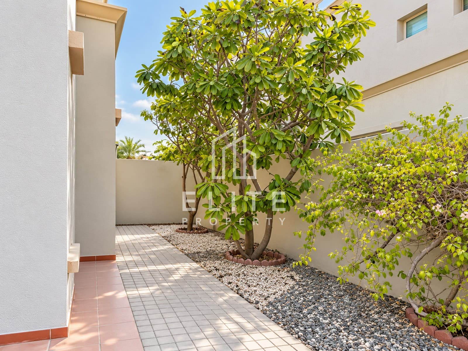 Corner Unit | Best Deal | Multiple Options — image 10